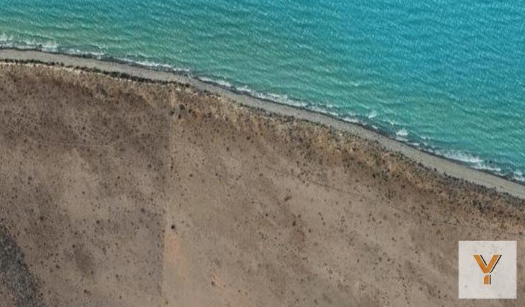 Foto de Campo en venta - 893 Hectáreas - Lago San Martín, Tres Lagos, Santa Cruz, imagen 2