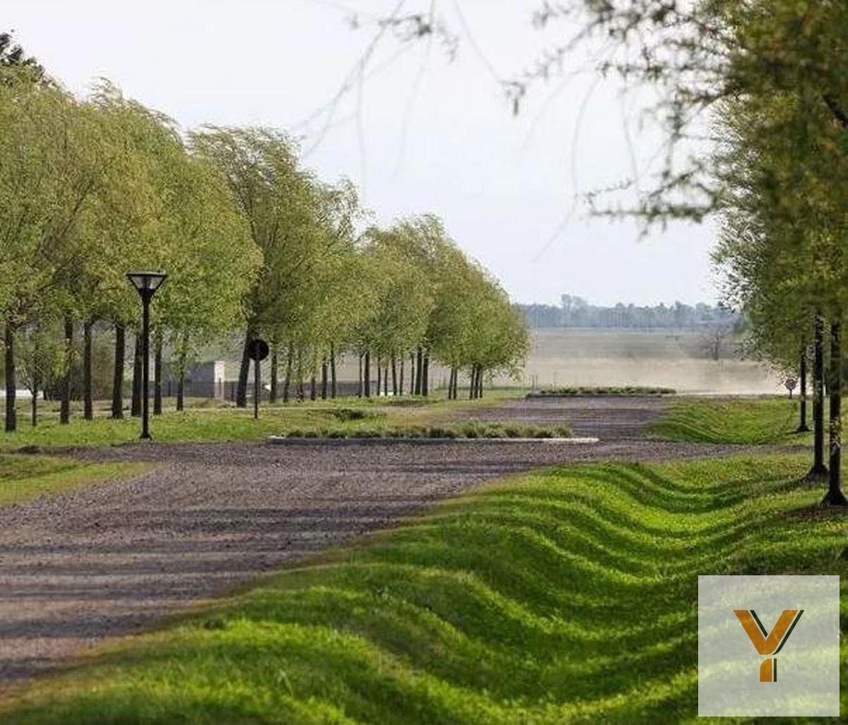 Foto de Terreno en venta - 1730mts2 - Coronel Brandsen, imagen 5