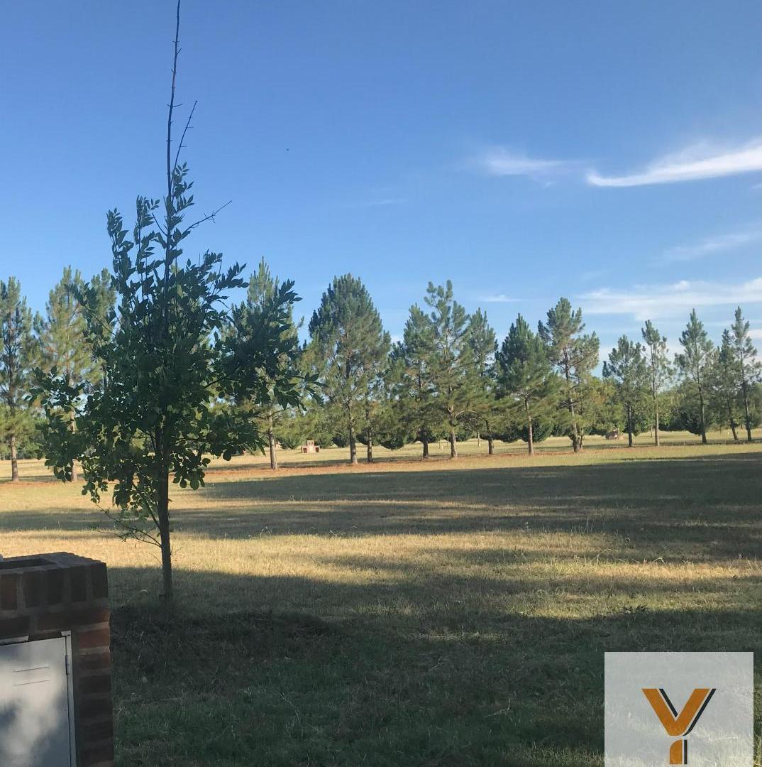 Foto de Terreno en venta - 1.000mts2 - El Cardal III, Campana, imagen 4