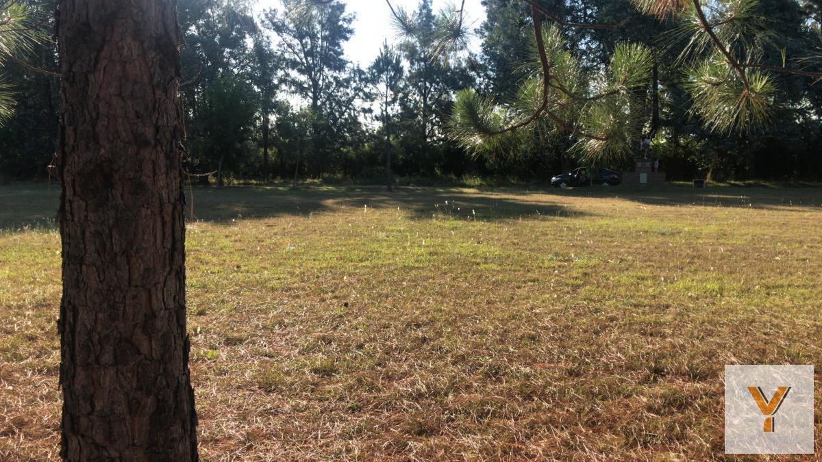 Foto de Terreno en venta - 1.000mts2 - El Cardal III, Campana, imagen 3