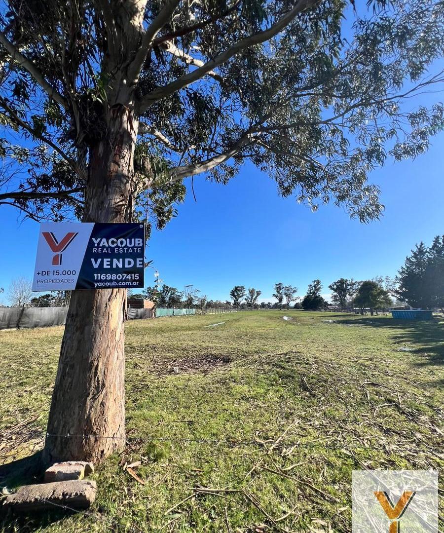 Foto de Terreno en Venta - - 4200mts - Mar Del Plata, imagen 3