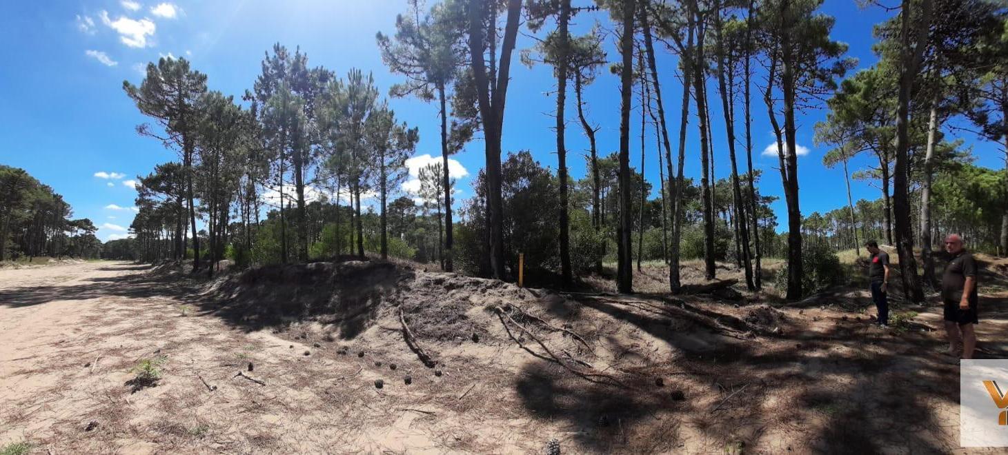 Foto de Terreno en Venta - - 1040mts - Pinamar, imagen 1