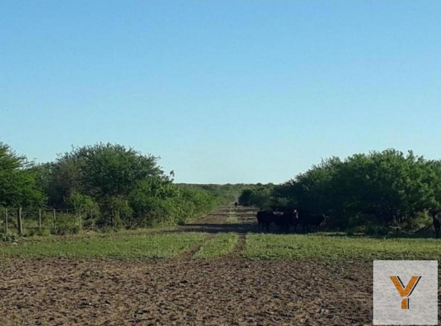 Foto de Campo en venta - 39.540.000Mts2 - La Pampa, imagen 4