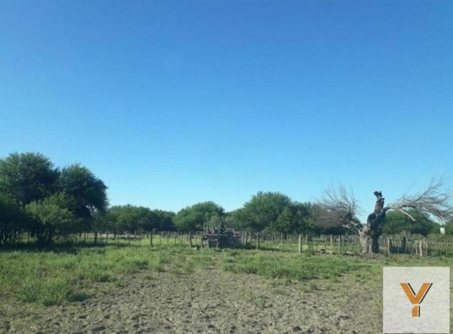 Foto de Campo en venta - 39.540.000Mts2 - La Pampa, imagen 5