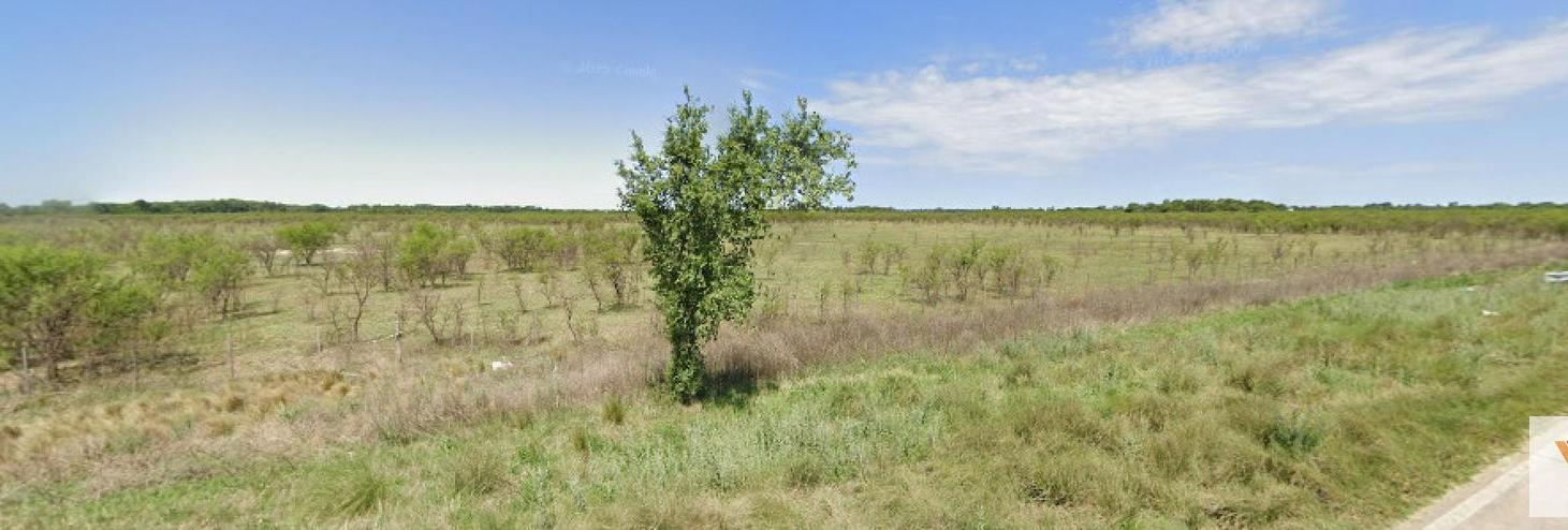 Foto de Terreno en venta - 75.940Mts2 - Villa Reynolds, imagen 3