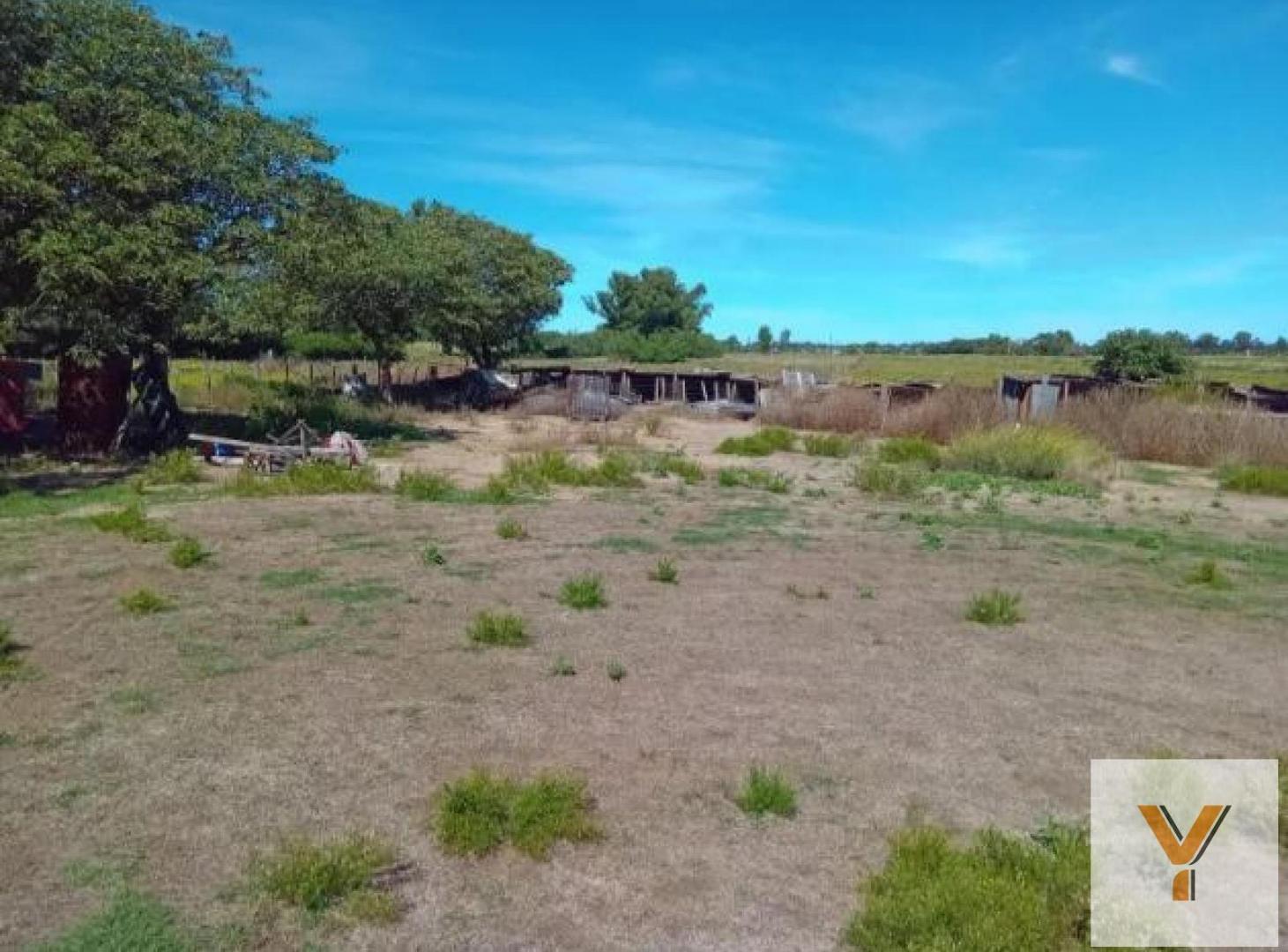 Foto de Quinta en venta - 2 Dormitorios 1 Baño - 5.000Mts2 - Adolfo Alsina, imagen 5