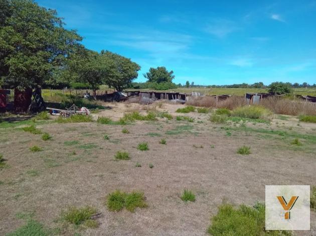 Foto de Quinta en venta - 2 Dormitorios 1 Baño - 5.000Mts2 - Adolfo Alsina, imagen 4