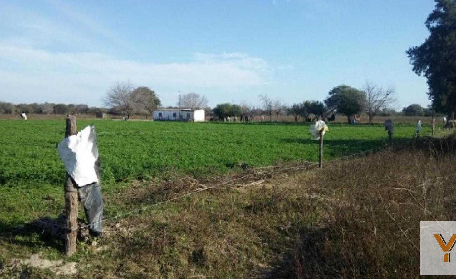 Foto de Campo en venta - 188 Hectáreas - Santiago del Estero, imagen 3