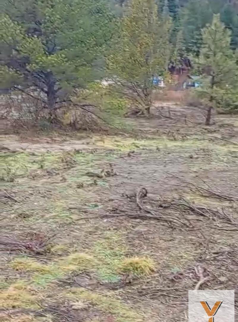 Foto de Terreno en Venta - - 200mts - Cushamen - Lago Puelo, imagen 4