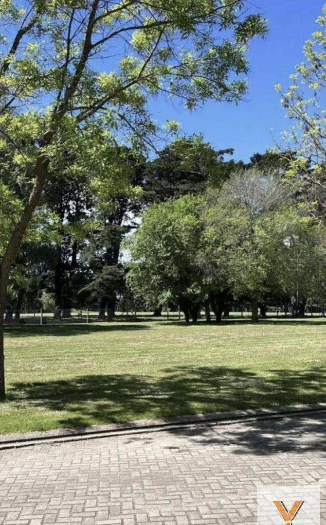 Foto de Terreno en Venta - - 752mts - Mar Del Plata, imagen 3