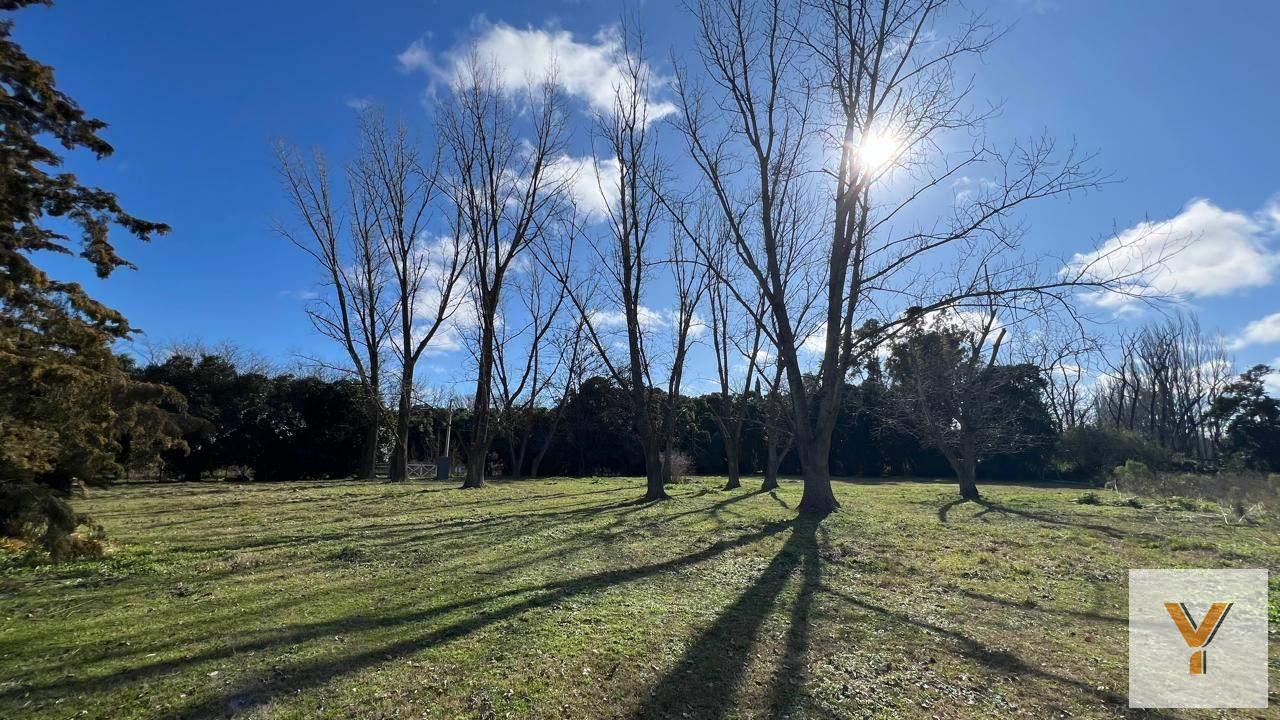 Foto de Campo en venta - 49.140Mts2 - Mercedes, imagen 4