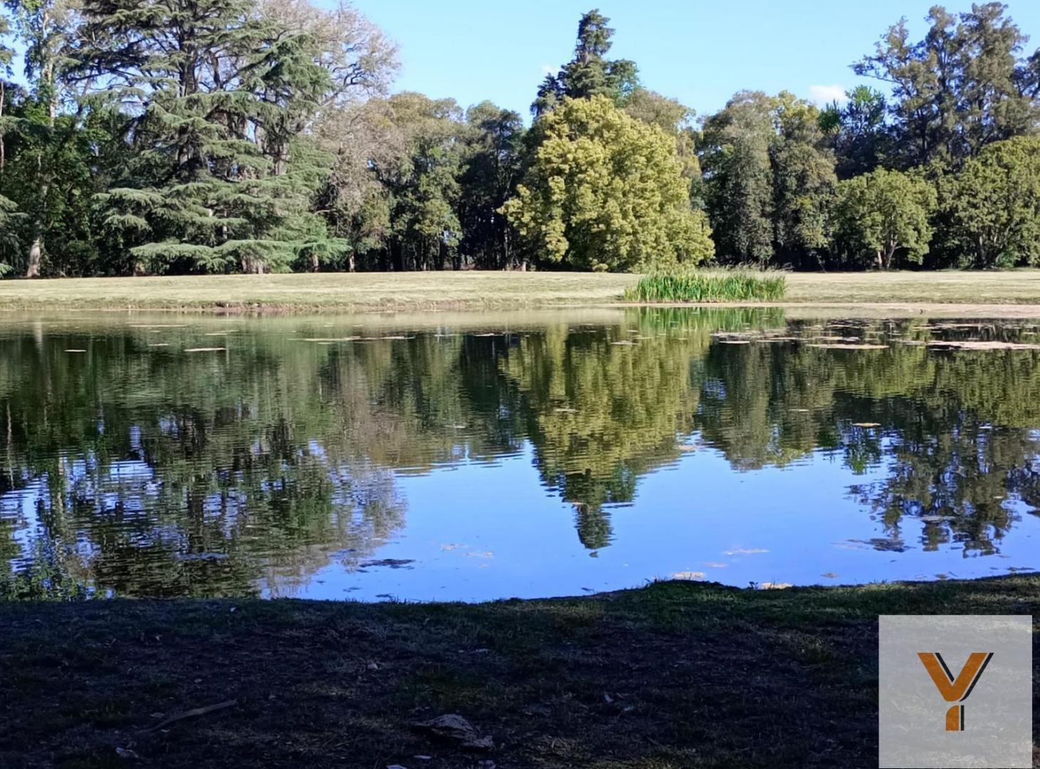 Foto de Terreno en venta - 25.000Mts2 - Estancia Benqueria, Monte, imagen 5