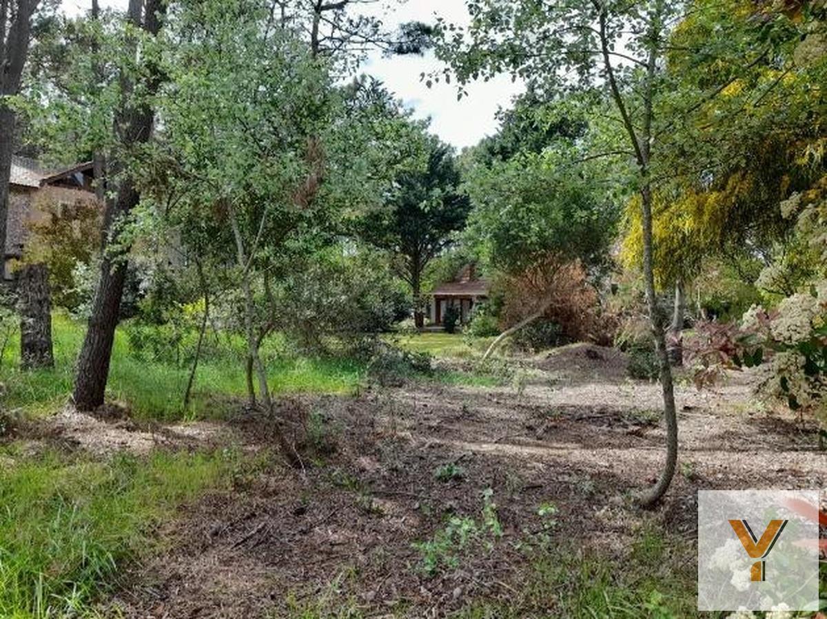 Foto de Terreno en venta - 675Mts2 - Mar de Las Pampas, imagen 3