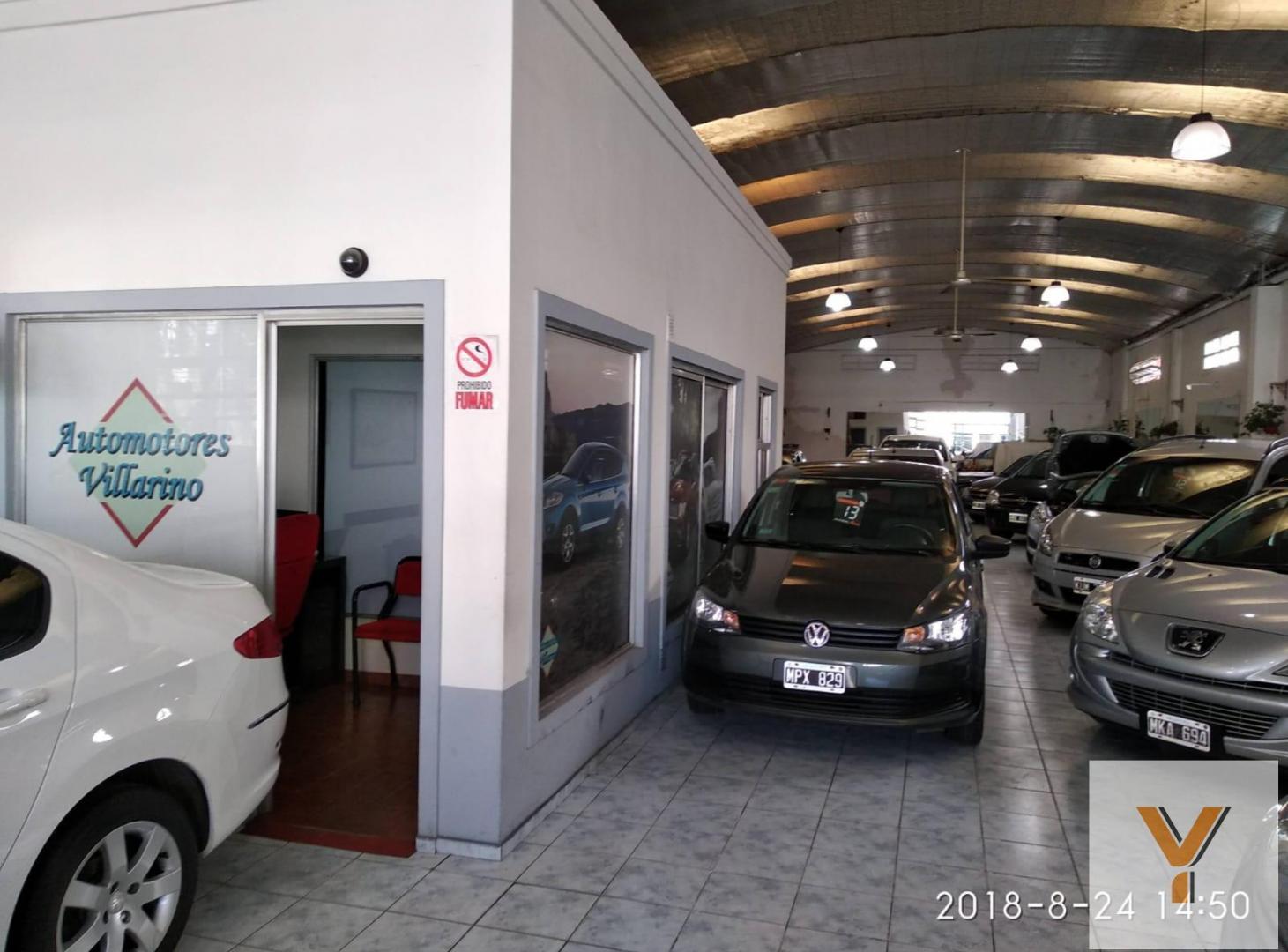 Foto de Local en Alquiler - Monoambiente - 312mts - Mar Del Plata, imagen 5