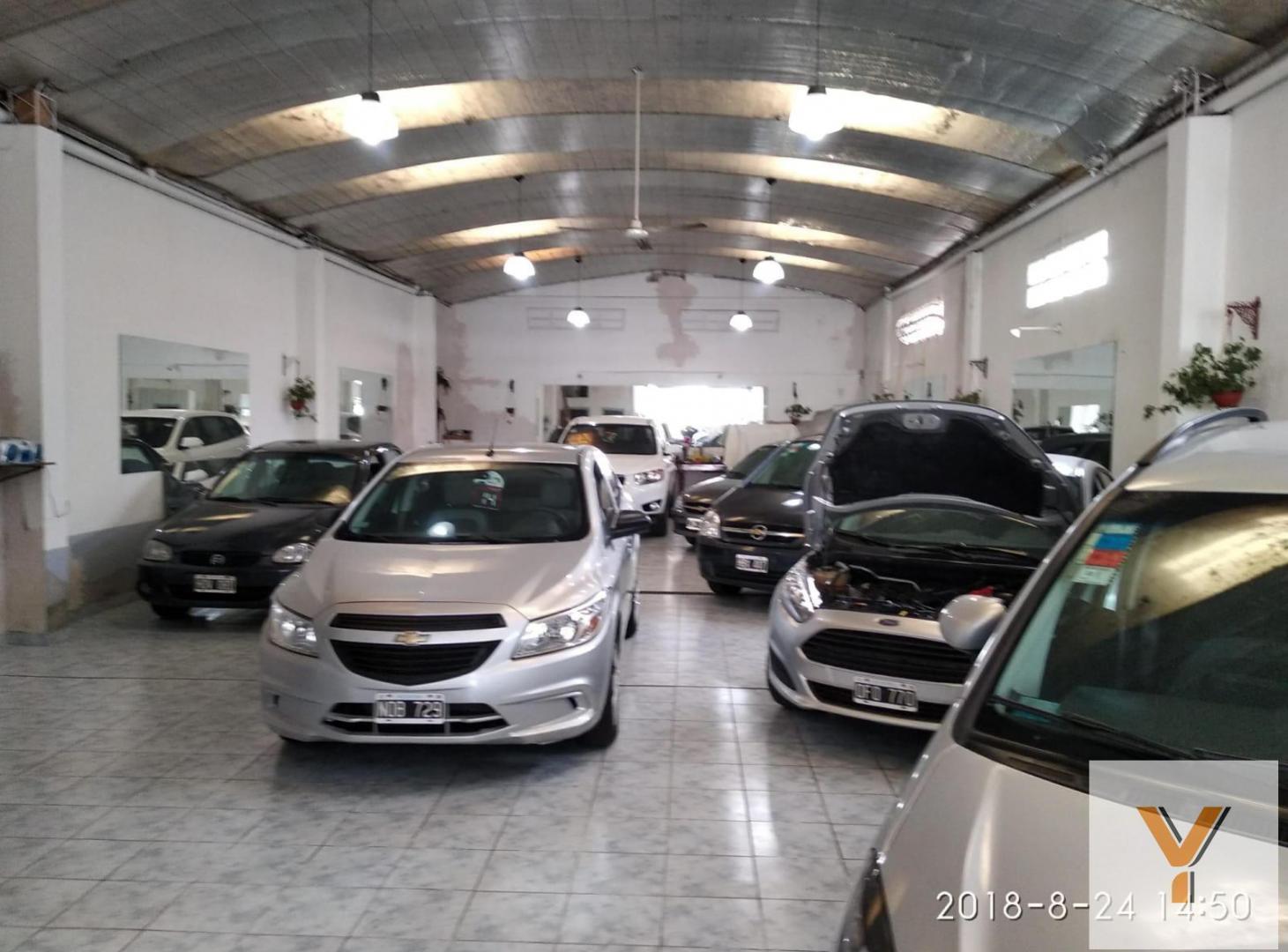 Foto de Local en Alquiler - Monoambiente - 312mts - Mar Del Plata, imagen 2