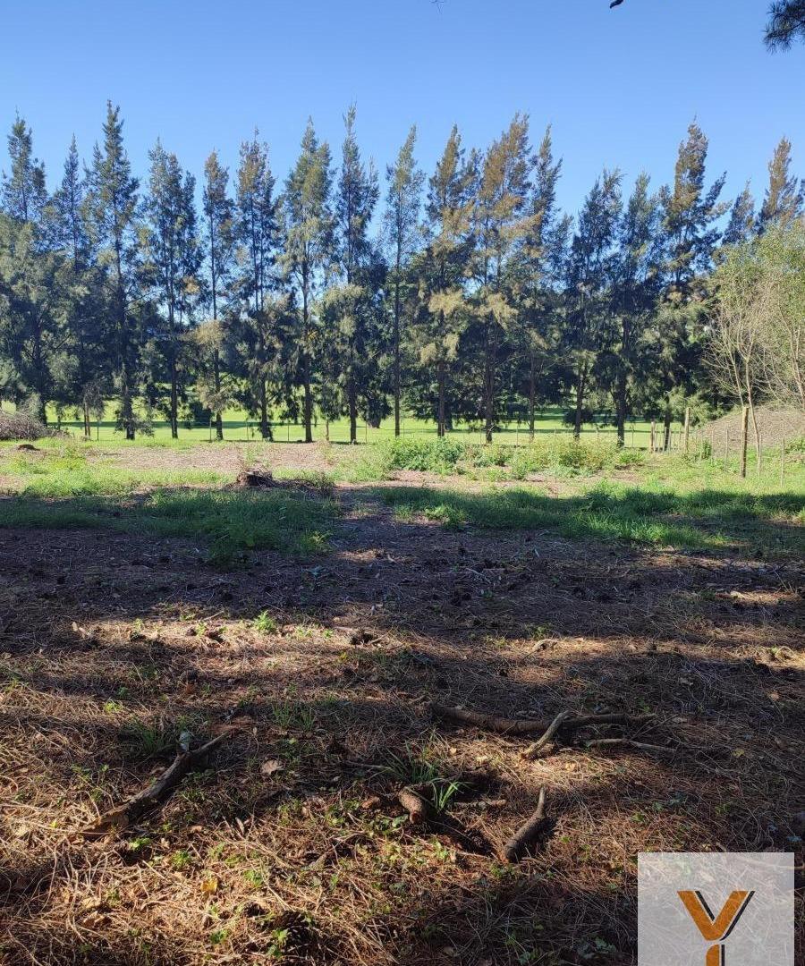 Foto de Terreno en Venta - - 695mts - Mar Del Plata, imagen 5