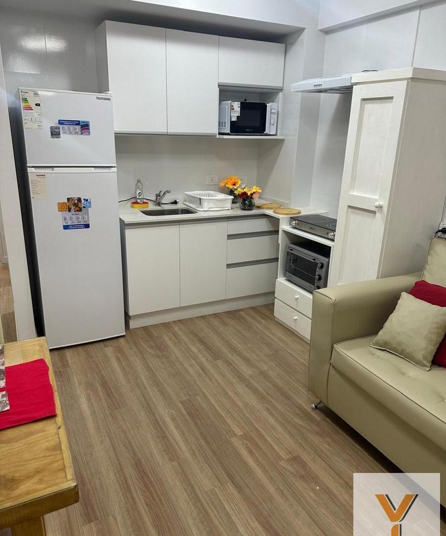 Foto de Departamento en Temporal - 1 Dormitorio 1 Baño - 42mts - San Cristobal, imagen 5