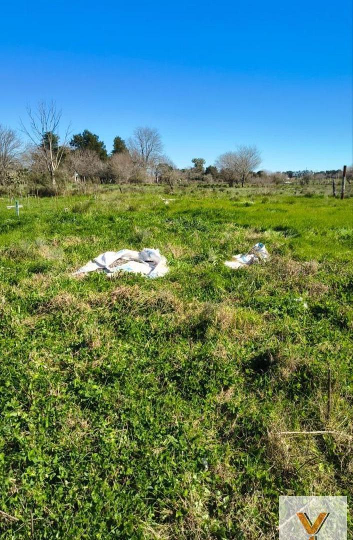 Foto de Terreno en Venta - - 192mts - La Plata, imagen 3