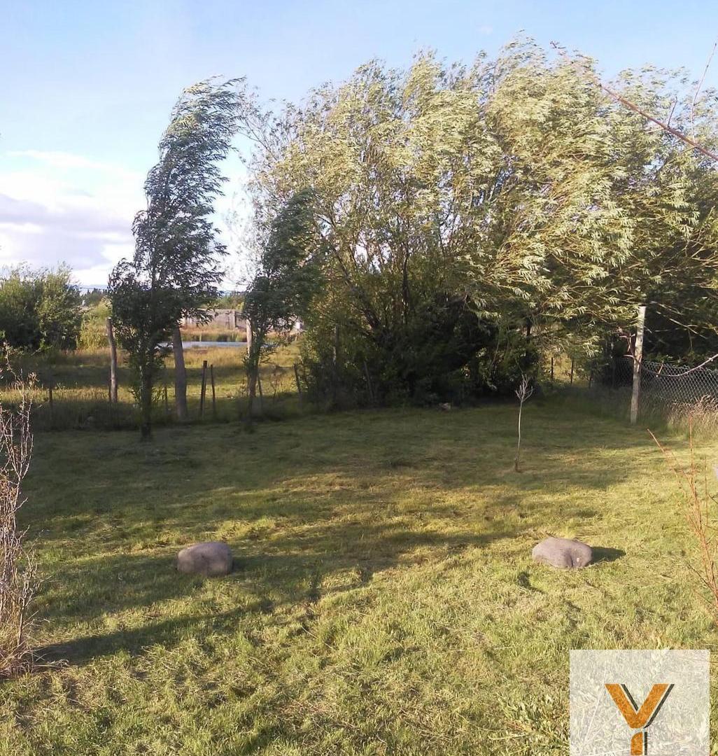 Foto de Casa en Venta - 2 Dormitorios 1 Baño - 750mts - Santa Cruz - Los, imagen 5