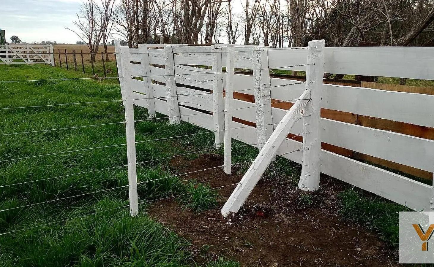 Foto de Campo en Venta - - 540mts - Saladillo, imagen 3