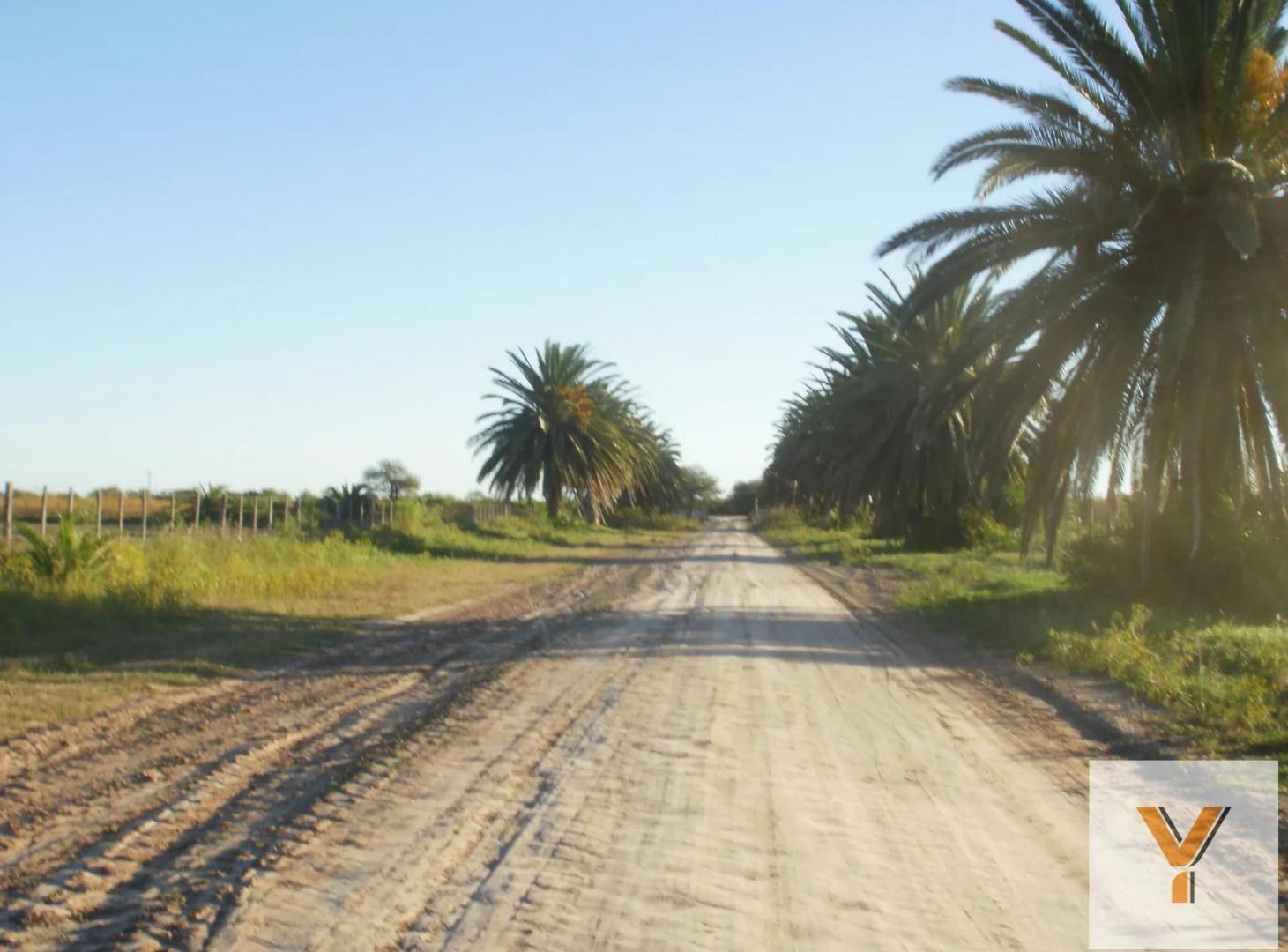 Foto de Campo en Venta - - 60000mts - Añatuya - Dpto. Juan Felipe Ibarra, imagen 3
