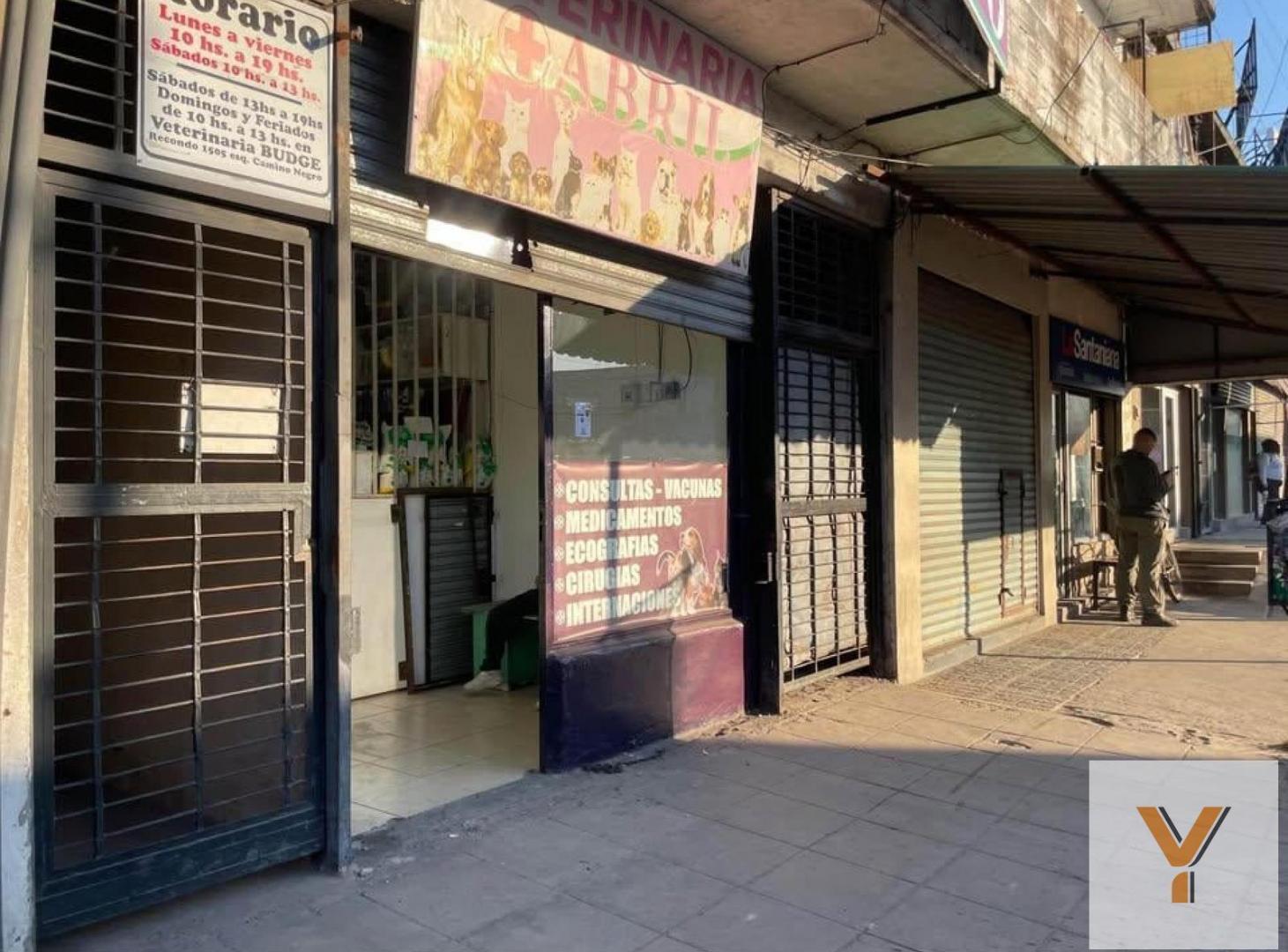 Foto de Edificio Comercial en Venta - 3 Dormitorios 2 Baños - 444mts - Esteban, imagen 3