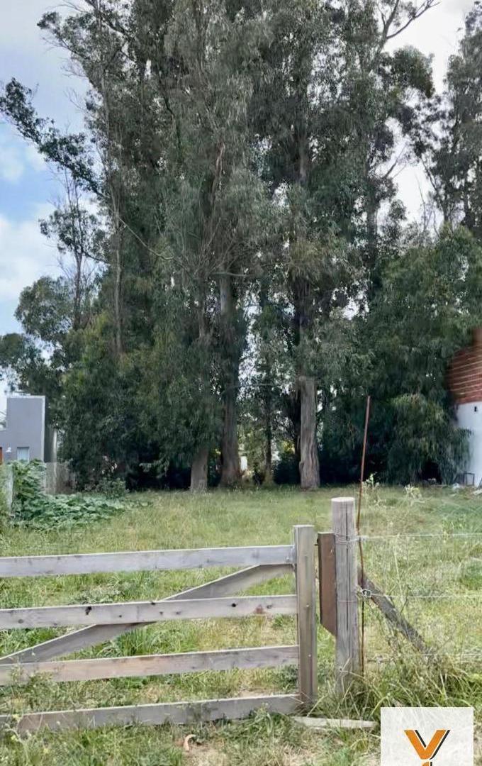 Foto de Terreno en Venta - - 472mts - Mar Del Plata, imagen 3