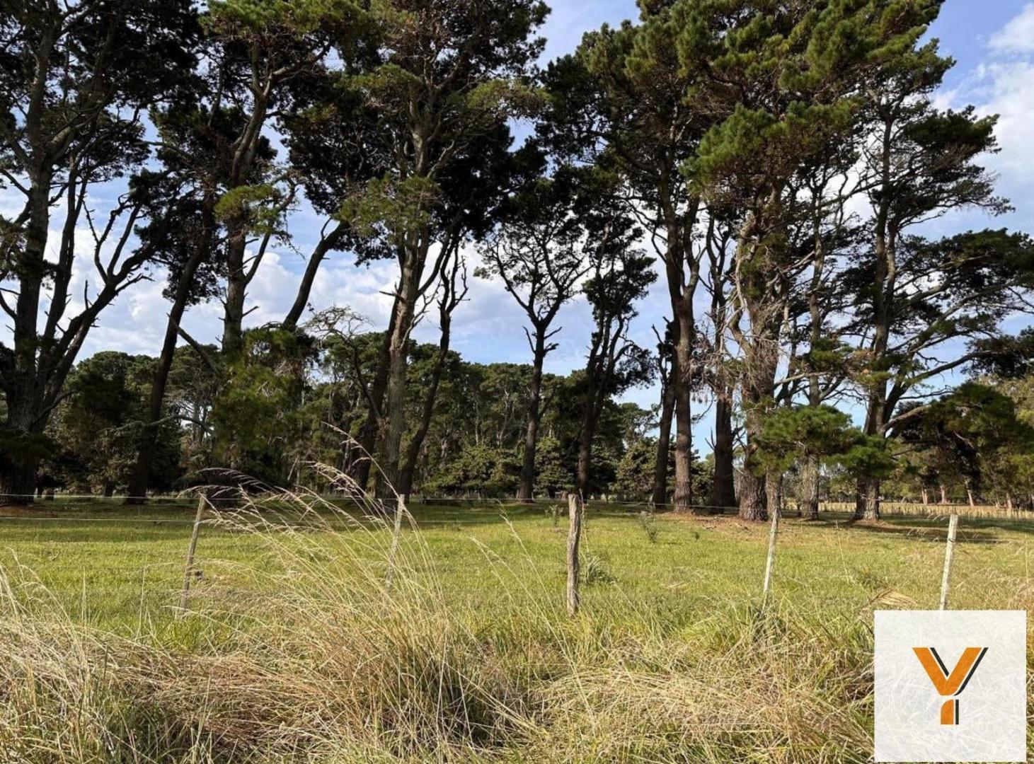 Foto de Terreno en Venta - - 472mts - Mar Del Plata, imagen 2