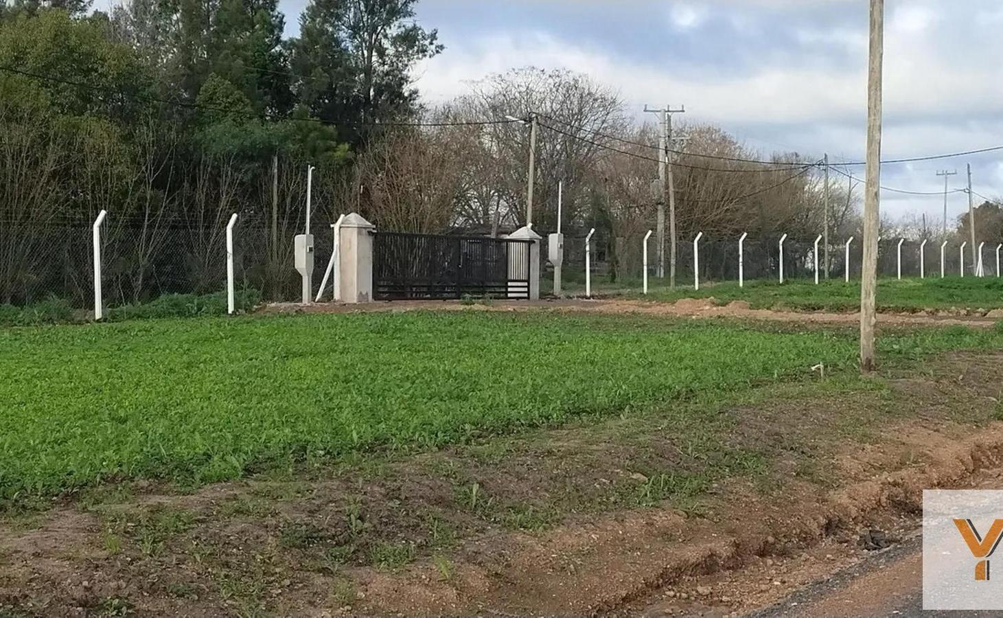Foto de Terreno en Venta - - 303mts - La Plata, imagen 3