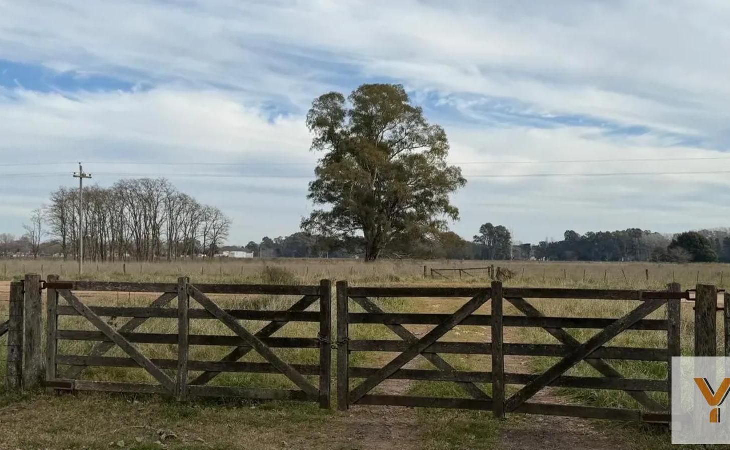 Foto de Campo en Venta - - 460000mts - Pila, imagen 3