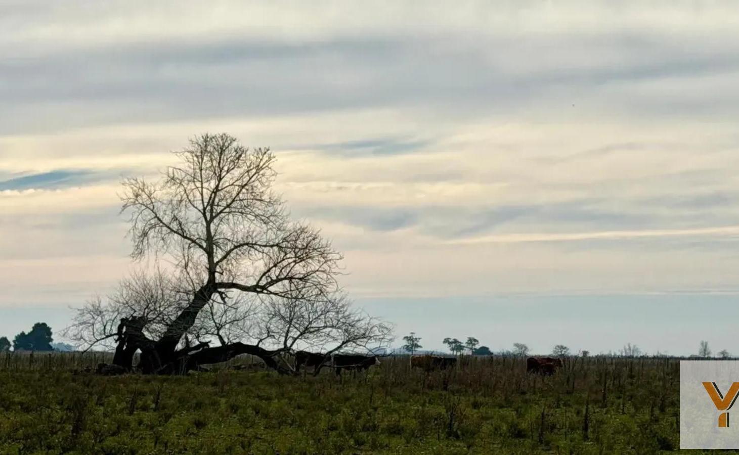 Foto de Campo en Venta - - 460000mts - Pila, imagen 2