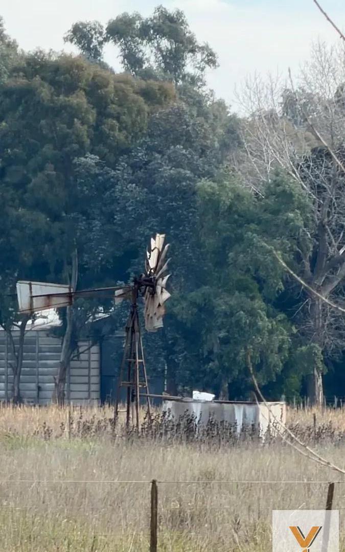 Foto de Campo en Venta - - 460000mts - Pila, imagen 4