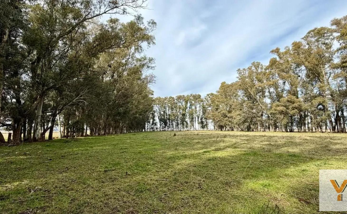 Foto de Campo en Venta - - 460000mts - Pila, imagen 5