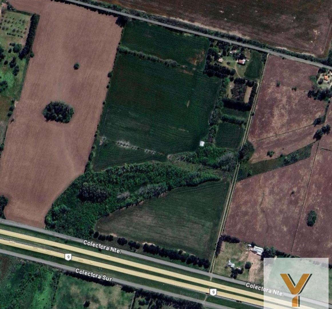 Foto de Campo en Venta - - 375000mts - Zarate, imagen 2