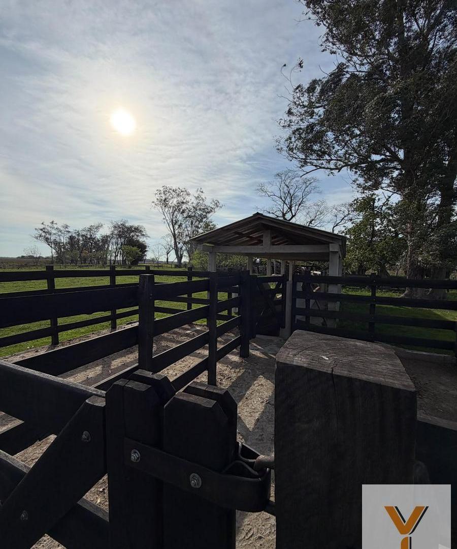 Foto de Campo en Alquiler - - 18000000mts - Concepcion - Corrientes, imagen 4
