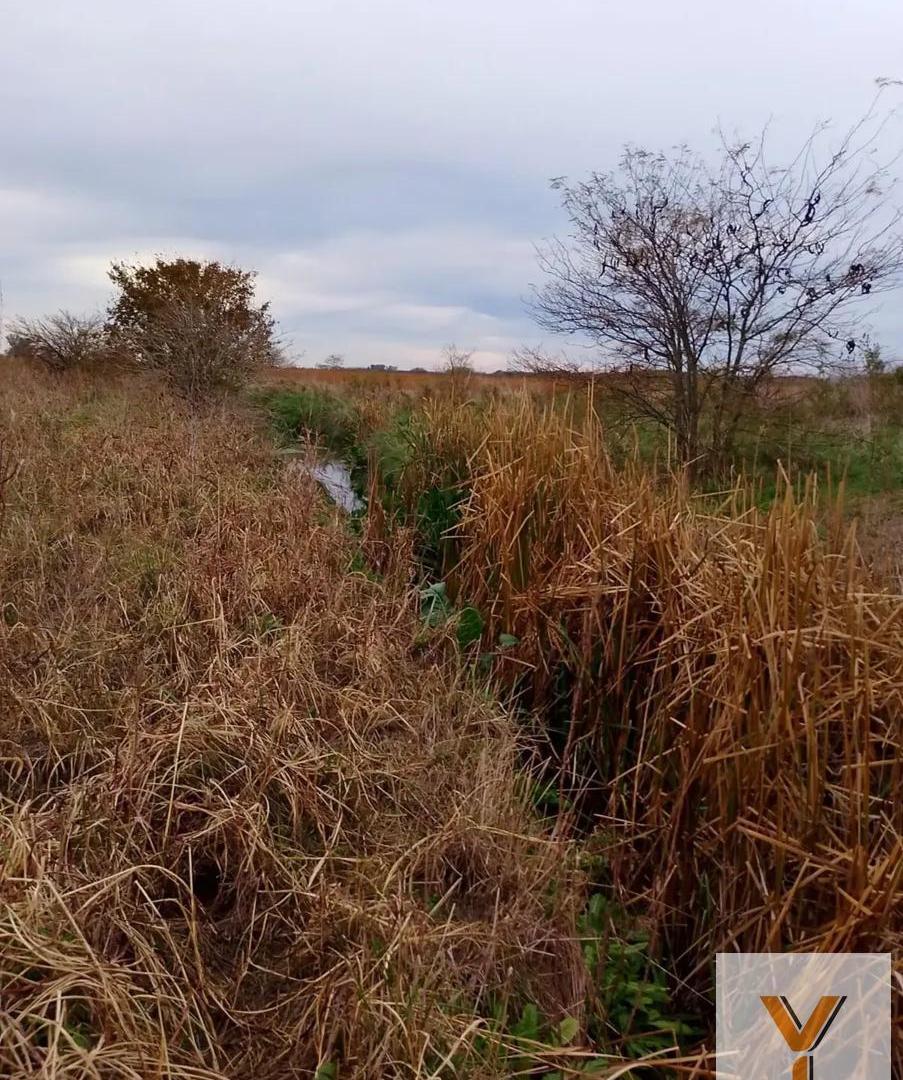 Foto de Campo en Venta - - 34000000mts - Arrecifes, imagen 1