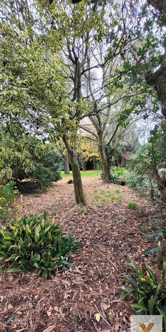 Foto de Quinta en Venta - 5 Dormitorios 4 Baños - 400mts - Mar Del Plata, imagen 1