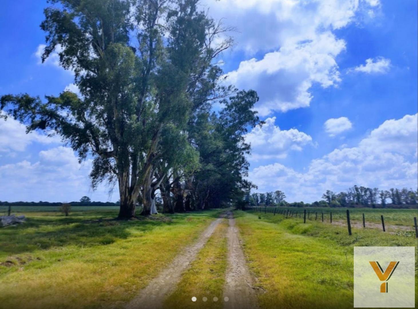 Foto de Campo en Venta - - 10230000mts - Barrio Campo Alto, imagen 3