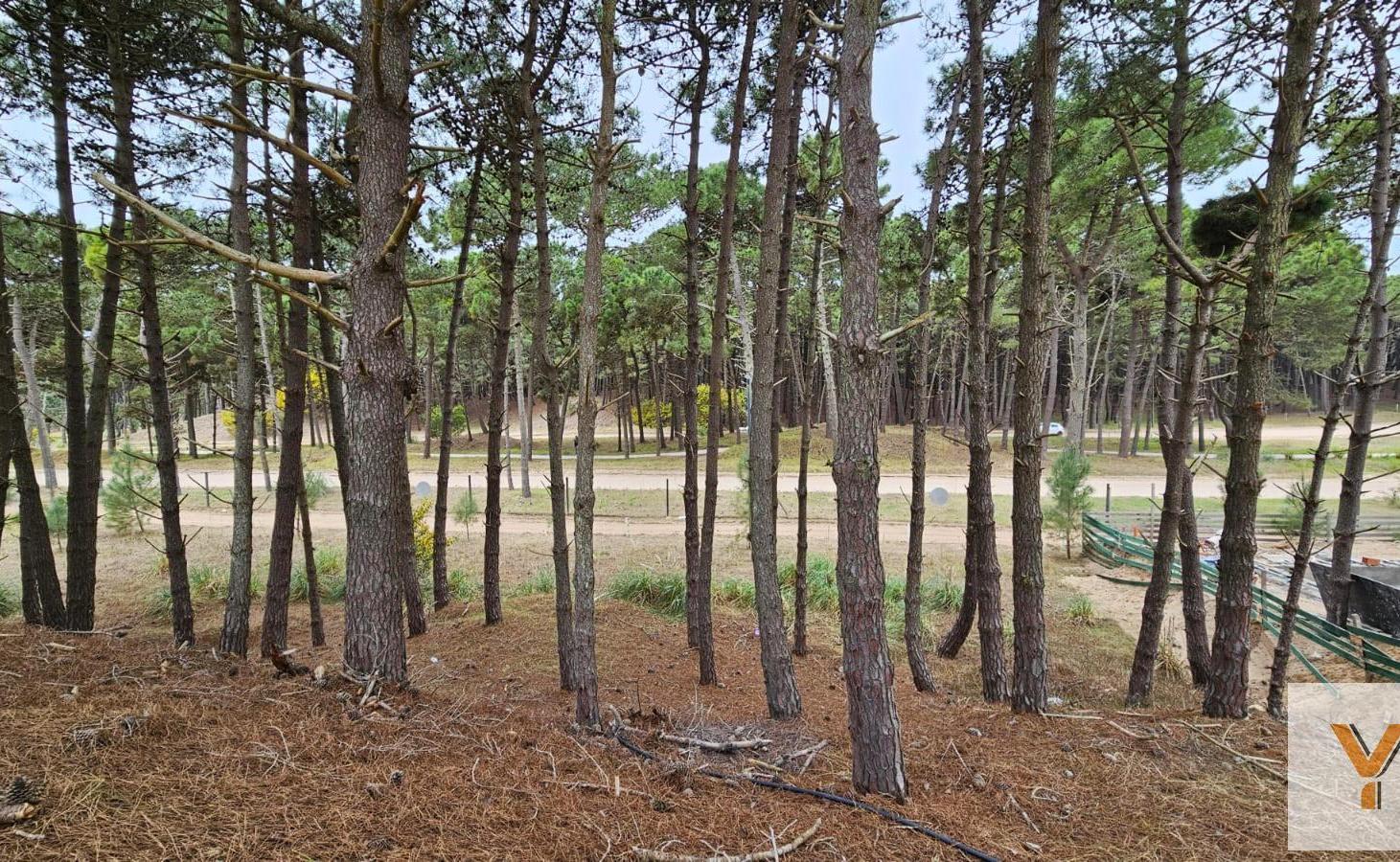 Foto de Terreno en Venta - - 887mts - Pinamar, imagen 2