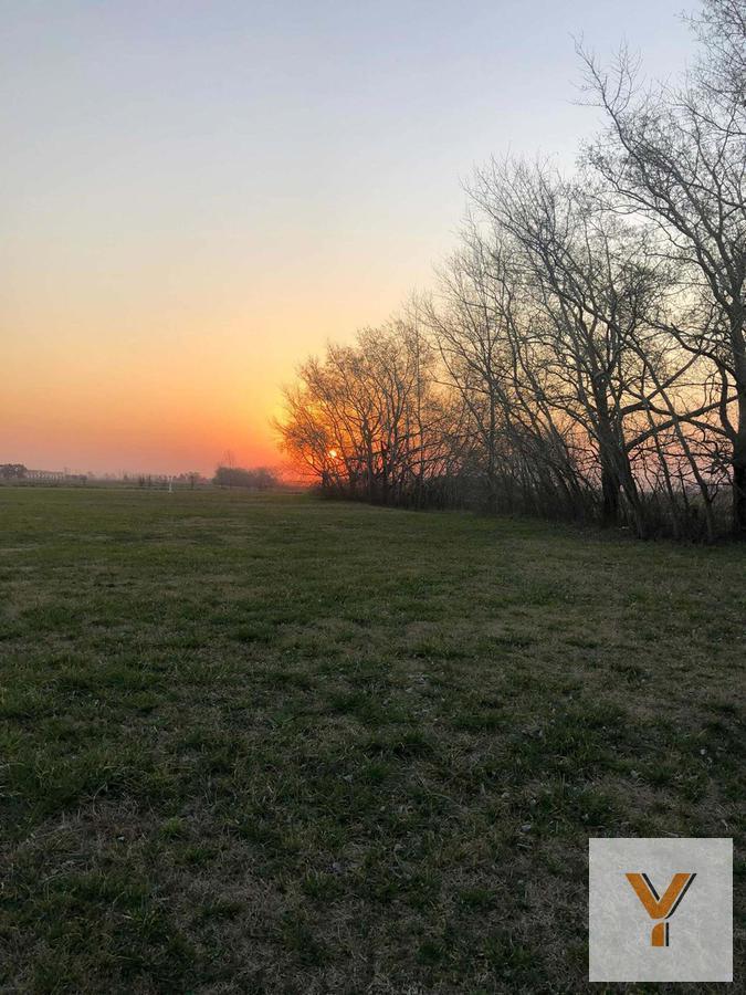 Foto de Terreno en venta - 2047 mts2 - Chascomus, imagen 5
