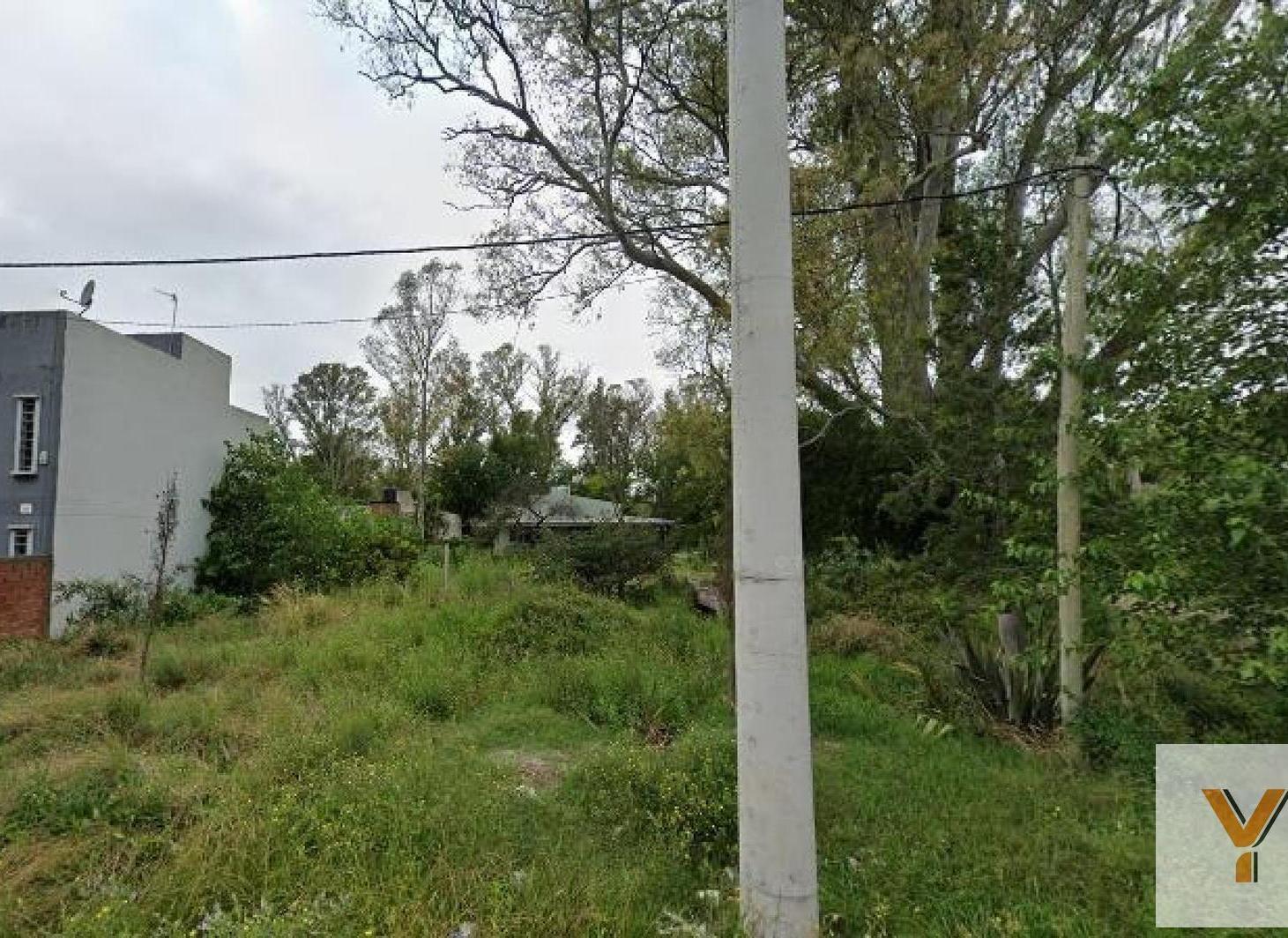 Foto de Terreno en venta - 190Mts2 - Arturo Seguí, imagen 5