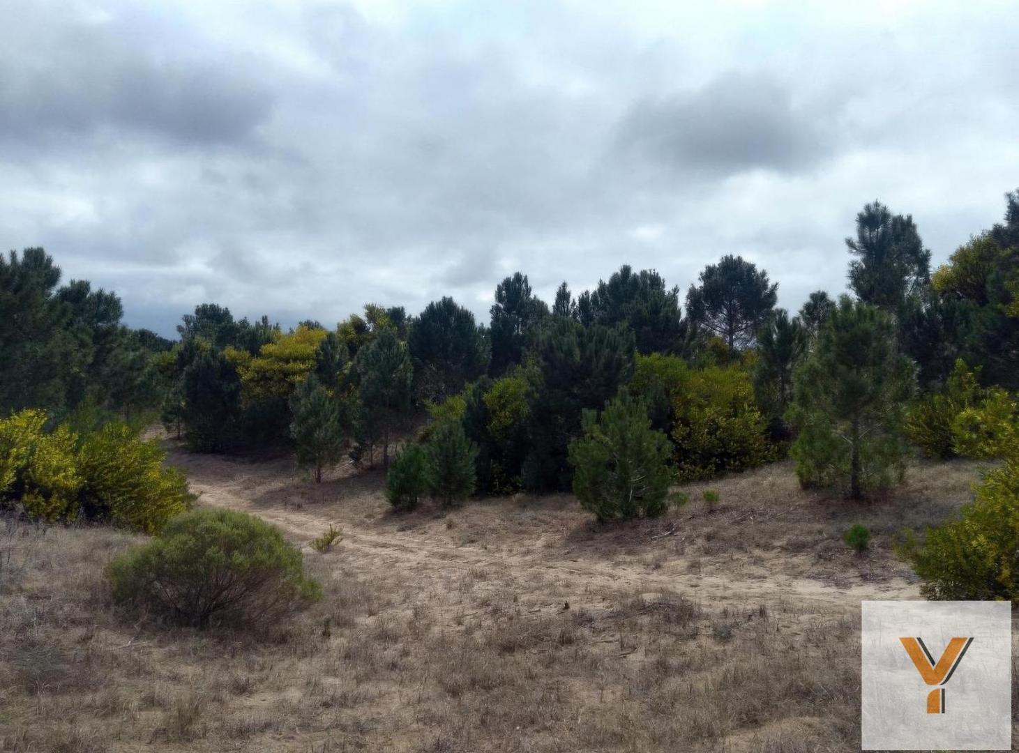 Foto de Terreno en venta - 1175 mts2 - Ecuestre, Costa Esmeralda, imagen 3