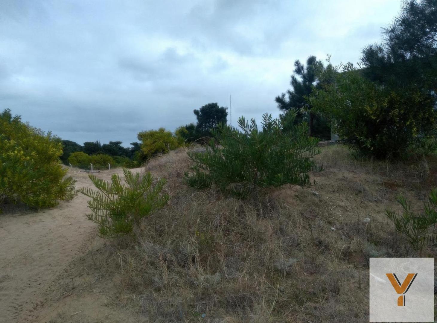 Foto de Terreno en venta - 1175 mts2 - Ecuestre, Costa Esmeralda, imagen 2