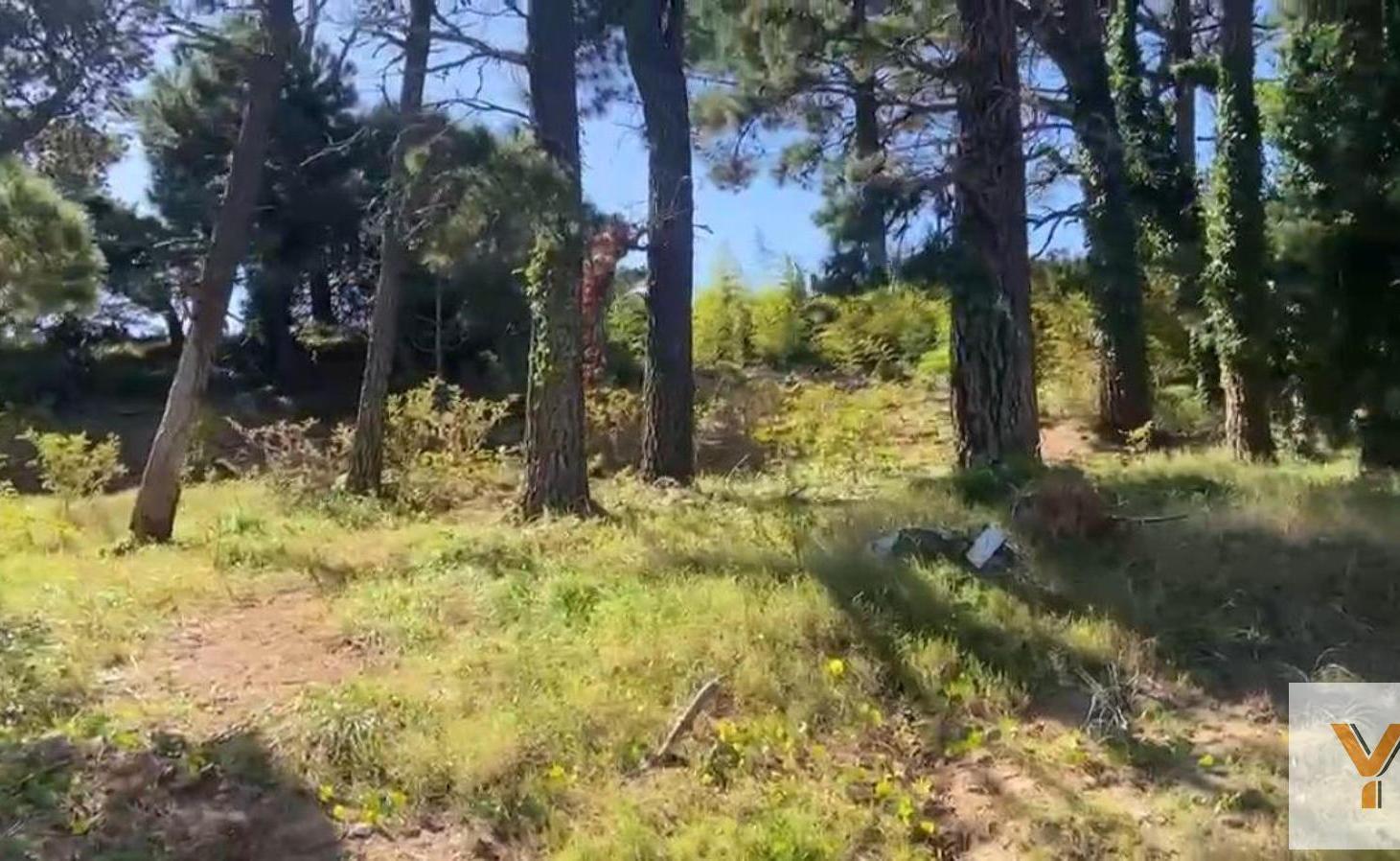 Foto de Terreno en Venta - - 825mts - Pinamar, imagen 1