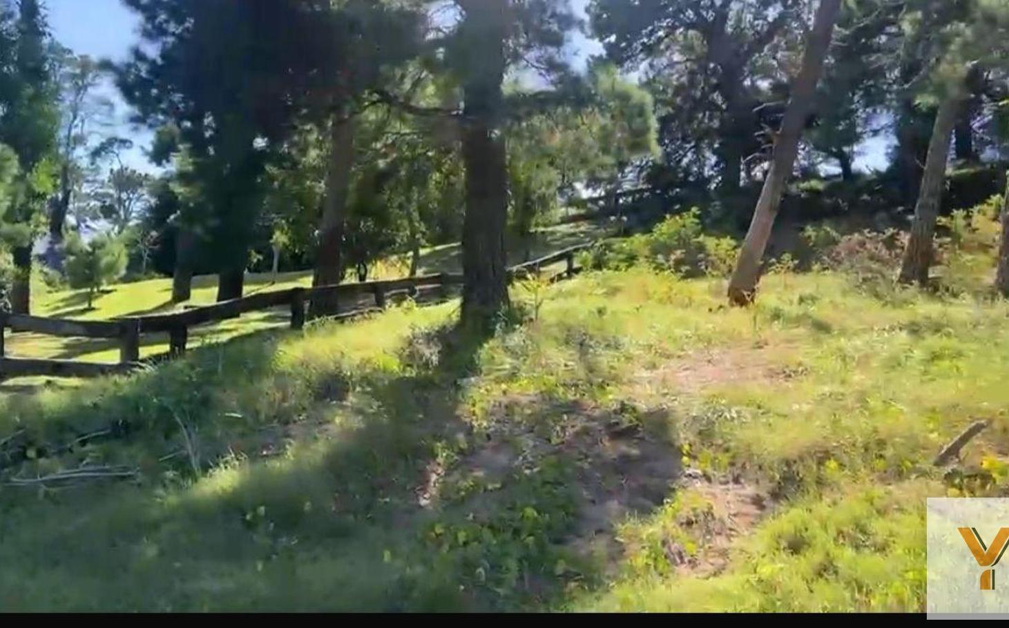 Foto de Terreno en Venta - - 825mts - Pinamar, imagen 2