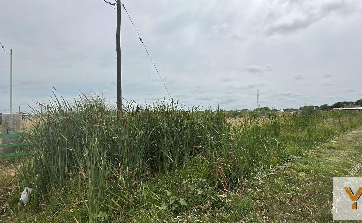 Foto de Terreno en Venta - - 478mts - Mar Del Tuyu, imagen 3