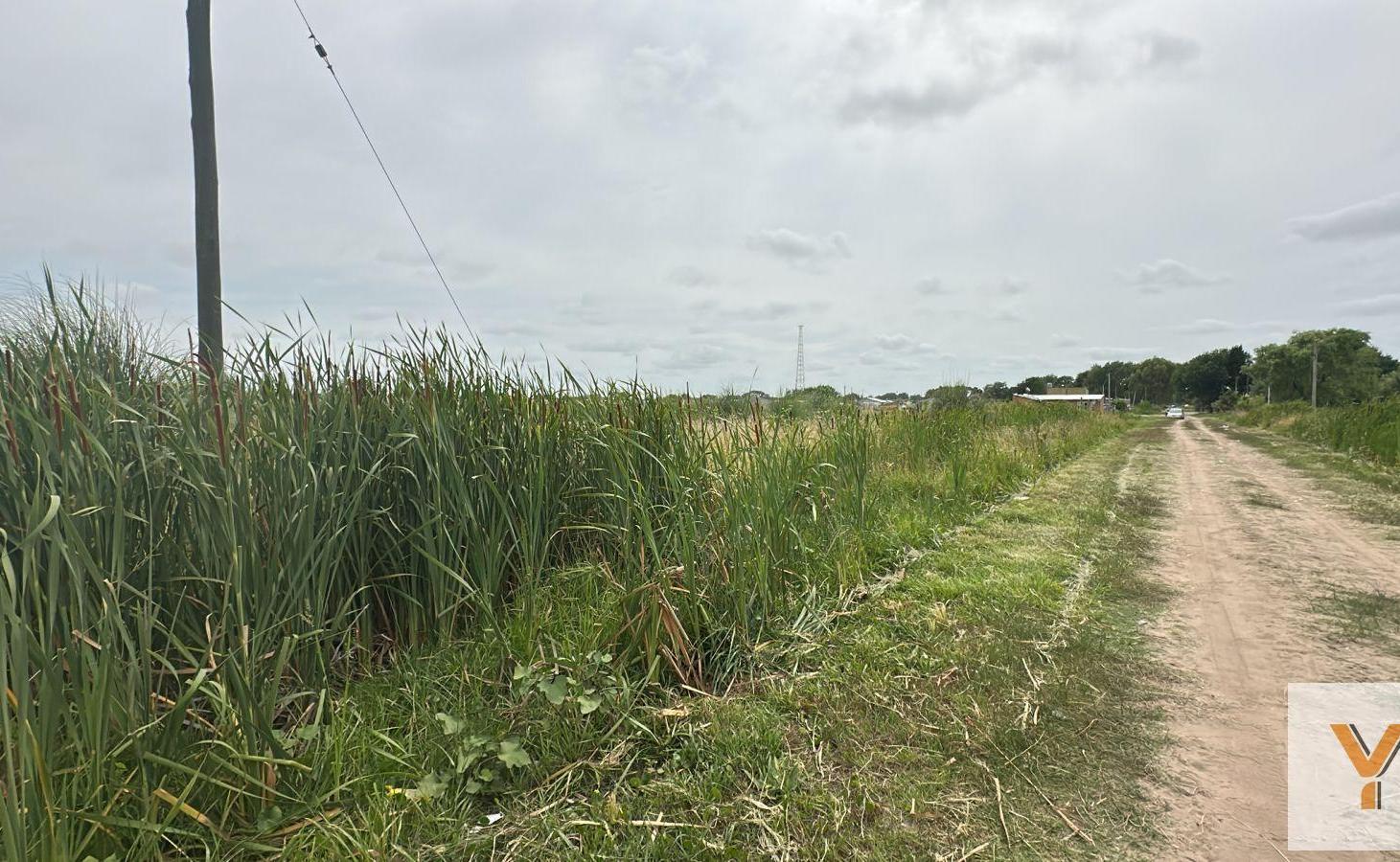 Foto de Terreno en Venta - - 478mts - Mar Del Tuyu, imagen 5