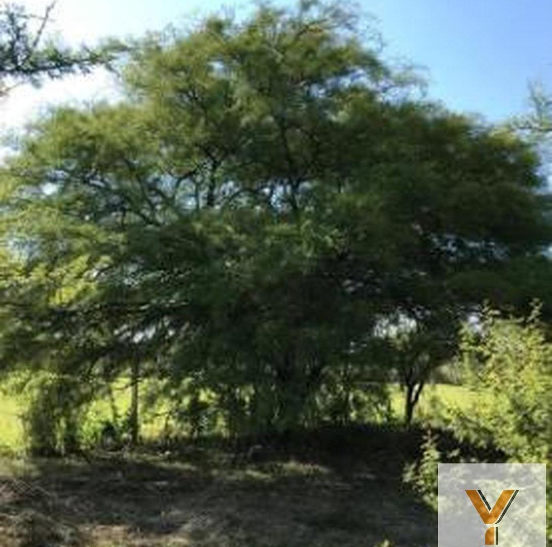 Foto de Terreno en venta - 2.327mts2 - Villa Allende, imagen 4