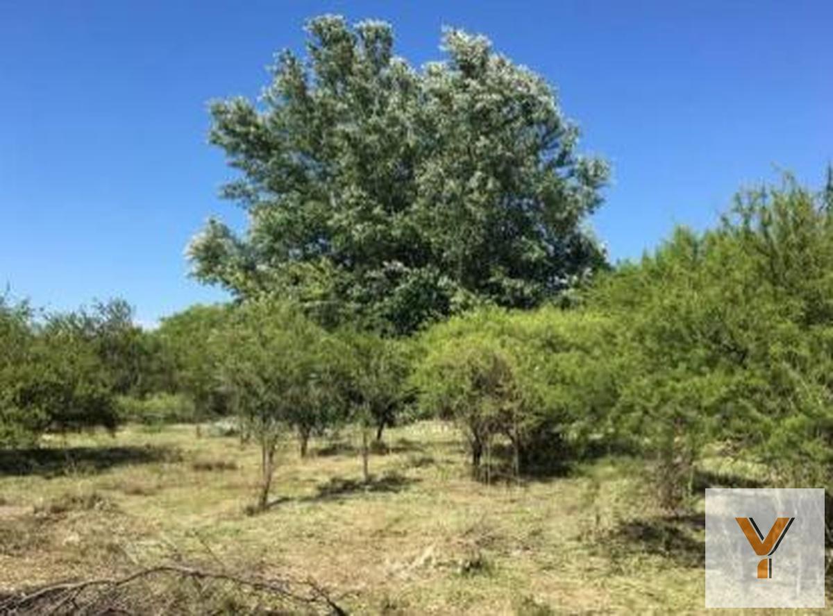Foto de Terreno en venta - 2.327mts2 - Villa Allende, imagen 3