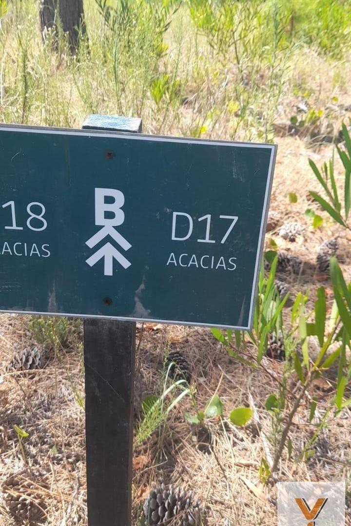 Foto de Terreno en venta - 1.152Mts2 - Pinamar, imagen 4